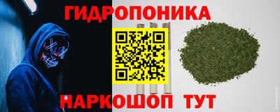 ешки Гусев