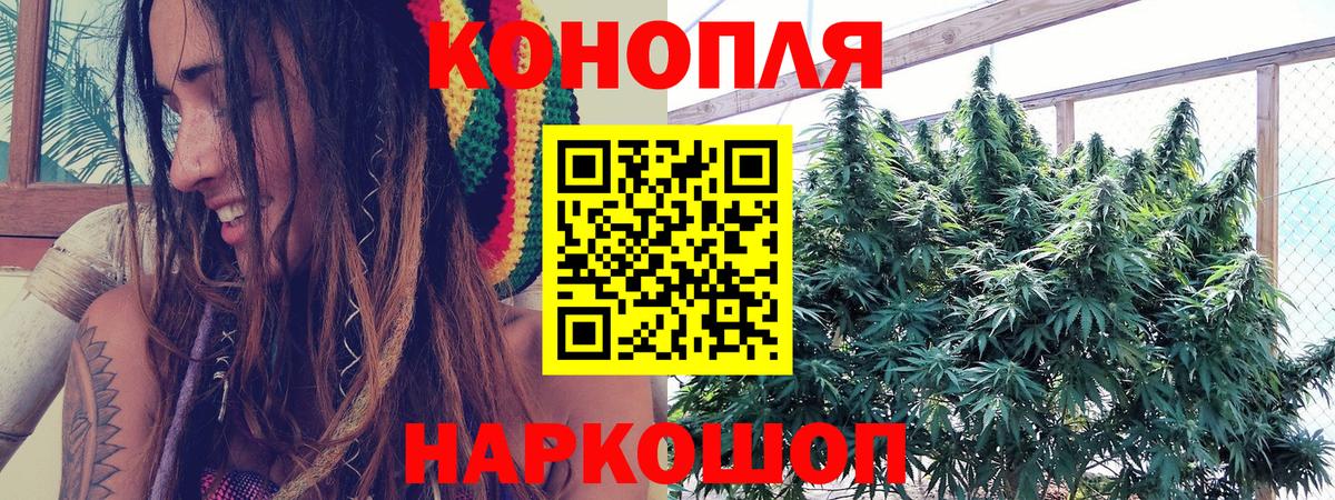 Марихуана SATIVA & INDICA  Вход с VPN  Конопля OG Kush  Бошки Шишки MAZAR  Котельники  Бошки марихуана планчик 